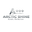 Arctic Shine logo